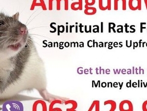 Strong Money Spells in United States (USA) | spiritual rats for money spell caster 0634299958 